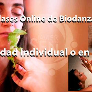 clases de biodanza online